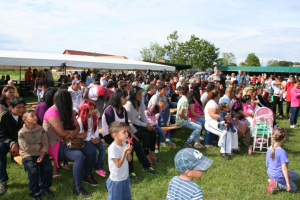 Falunap 2014