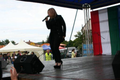 falunap_2014_18