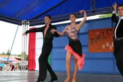 falunap_2014_20