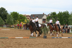 falunap_2014_43