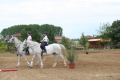 falunap_2014_44