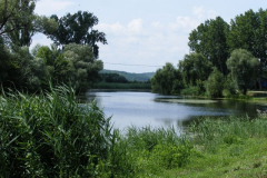 2009_0630ludanyhalaszi0020